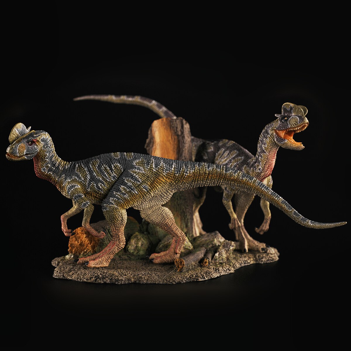 REBOR  Ⱓ Dilophosaurus Ŀ Dilo  ..